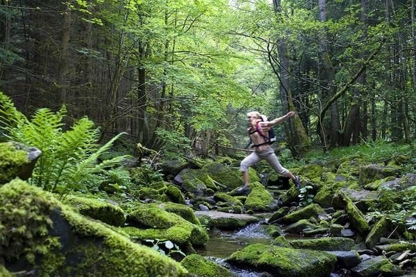 Fastenwandern - Bayerischer-Wald- Landgut Tiefleiten